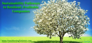 Sustainability Pathways to Resilient Profitable Companies_sm